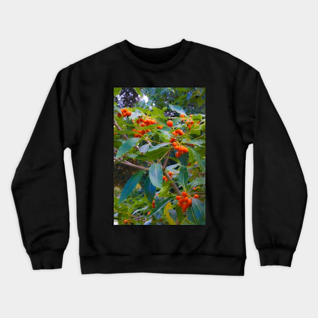 fascinating nature Crewneck Sweatshirt by terezadelpilar